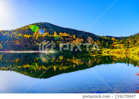 The vibrant autumn leaves reflected on the surface of Yumi Pond: A beautiful mirror image of the Shiga-Kusatsu Plateau Route. 139270047