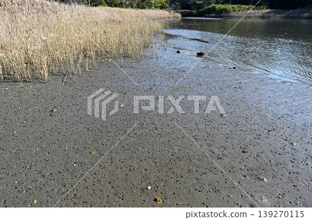 海塗 海塗 139270115