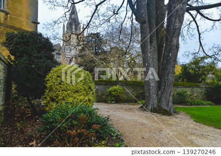 Garden with tree and path Oxford England United Kingdom. 139270246