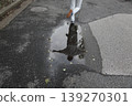 水坑 139270301