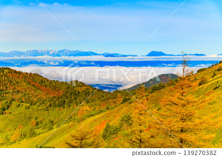 滋賀草津高原路線的秋天:北阿爾卑斯山脈漂浮在雲海之中,山坡上覆蓋著秋天的樹葉,景色壯麗。 滋賀草津高原路線的秋天:北阿爾卑斯山脈漂浮在雲海之中,山坡上覆蓋著秋天的樹葉,景色壯麗。 139270382