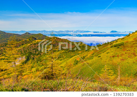 滋賀草津高原路線的秋天：北阿爾卑斯山脈漂浮在雲海之中，山坡上覆蓋著秋天的樹葉，景色壯麗。 139270383