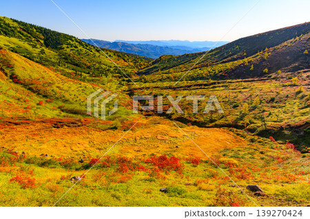草津白根山的秋景：秋葉在山麓蔓延，遠處是日光山脈，景色壯麗。 139270424