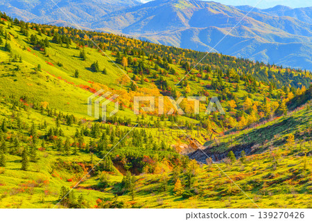 草津白根山的秋景:秋葉在山麓蔓延,遠處是日光山脈,景色壯麗。 草津白根山的秋景:秋葉在山麓蔓延,遠處是日光山脈,景色壯麗。 139270426