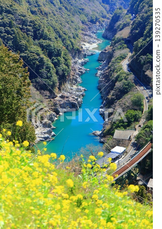 【德島縣】晴天下的白川橋和小伏川峽谷油菜花 【德島縣】晴天下的白川橋和小伏川峽谷油菜花 139270535
