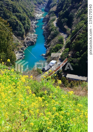 【德島縣】晴天下的古峠峽和特快列車南浦（白川橋）。 139270540