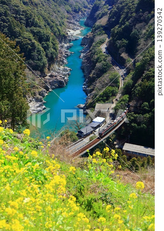 【德島縣】晴天下的古峠峽和特快列車南浦(白川橋)。 【德島縣】晴天下的古峠峽和特快列車南浦(白川橋)。 139270542