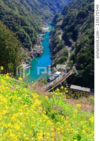 【德島縣】晴天下的古峠峽和特快列車南浦(白川橋)。 【德島縣】晴天下的古峠峽和特快列車南浦(白川橋)。 139270548