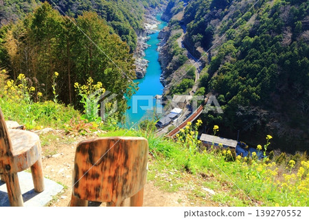[Tokushima Prefecture] Koboke Gorge and rapeseed blossoms on a sunny day (Shirakawa Bridge) 139270552