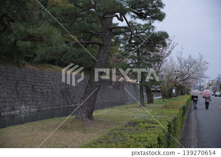 Kyoto Scenery: Scenery of Nijo Castle's moat and Bifuku Street 3 139270654