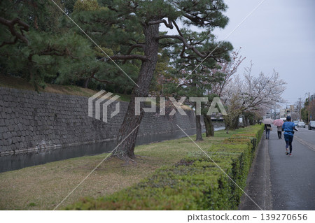 京都景色:二條城護城河與跑者(2) 京都景色:二條城護城河與跑者(2) 139270656