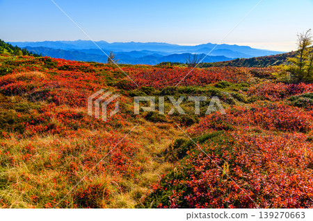 Autumn Shiga-Kusatsu Plateau Route: A spectacular view of the autumn-colored mountain slopes and vast mountain ranges from the watershed. Autumn Shiga-Kusatsu Plateau Route: A spectacular view of the autumn-colored mountain slopes and vast mountain ranges from the watershed. 139270663