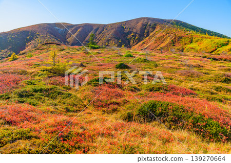 Autumn Shiga-Kusatsu Plateau Route: A spectacular view of the autumn-colored mountain slopes and vast mountain ranges from the watershed. Autumn Shiga-Kusatsu Plateau Route: A spectacular view of the autumn-colored mountain slopes and vast mountain ranges from the watershed. 139270664