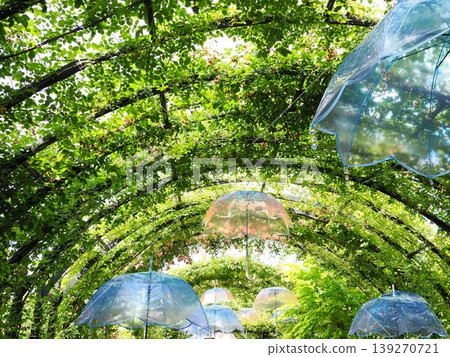 一片傘狀天空,一排排陽傘排列在綠色的拱門下。 一片傘狀天空,一排排陽傘排列在綠色的拱門下。 139270721