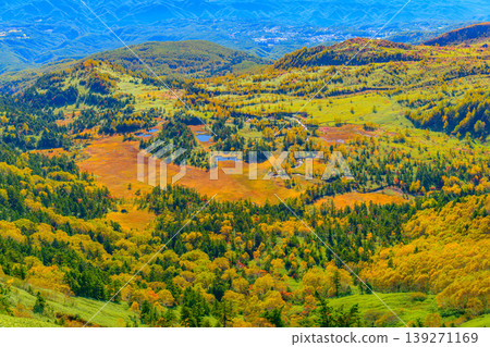 The autumn foliage of Yoshigahira, viewed from the highest point on a Japanese national highway, offers a breathtaking view of a sea of clouds and a vast expanse of autumn-colored wetlands. 139271169