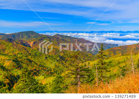 從橫手山附近看到的景色十分壯觀：北阿爾卑斯山脈漂浮在雲海之中，山坡上點綴著絢麗的秋色。 139271489