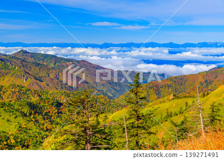 A spectacular view from near Yokoteyama: The Northern Alps floating in a sea of clouds and the mountain slopes ablaze with vibrant autumn colors. A spectacular view from near Yokoteyama: The Northern Alps floating in a sea of clouds and the mountain slopes ablaze with vibrant autumn colors. 139271491