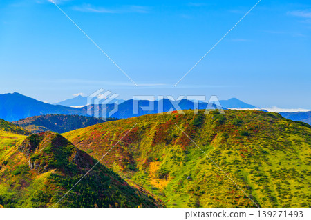 從橫手山附近看到的景色十分壯觀:北阿爾卑斯山脈漂浮在雲海之中,山坡上點綴著絢麗的秋色。 從橫手山附近看到的景色十分壯觀:北阿爾卑斯山脈漂浮在雲海之中,山坡上點綴著絢麗的秋色。 139271493