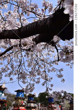 Inuyama City, Aichi Prefecture, Japan: The Inuyama Festival in spring, with cherry blossoms in full bloom, and the sight of floats and mechanical puppets being offered at the Inuyama Castle Square. Inuyama City, Aichi Prefecture, Japan: The Inuyama Festival in spring, with cherry blossoms in full bloom, and the sight of floats and mechanical puppets being offered at the Inuyama Castle Square. 139271592