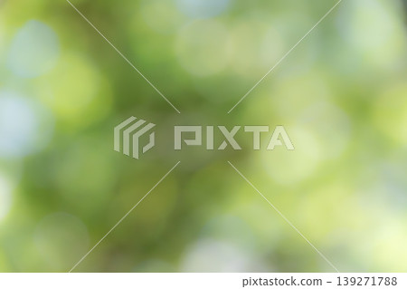 陽光透過樹木灑下，形成美麗的圓形散景背景，突顯了新鮮的綠色植物。 139271788