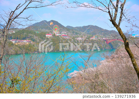 春天的岐阜縣江納京峽谷,櫻花盛開。 春天的岐阜縣江納京峽谷,櫻花盛開。 139271936