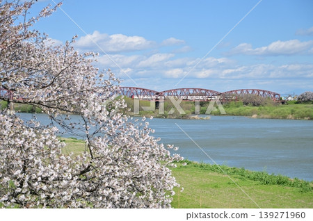 The flow of the Kiso River and a Meitetsu train (Kasamatsu Minato Park) The flow of the Kiso River and a Meitetsu train (Kasamatsu Minato Park) 139271960