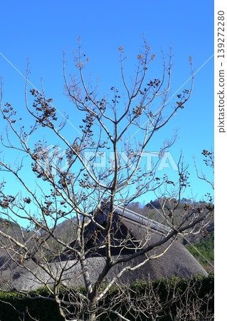 Country landscape 139272280