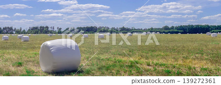 White wrapped hay bales scattered across a harvested field under blue sky with clouds. Agriculture landscape, rural farming, summer harvest, countryside scene, open meadow. White wrapped hay bales scattered across a harvested field under blue sky with clouds. Agriculture landscape, rural farming, summer harvest, countryside scene, open meadow. 139272361