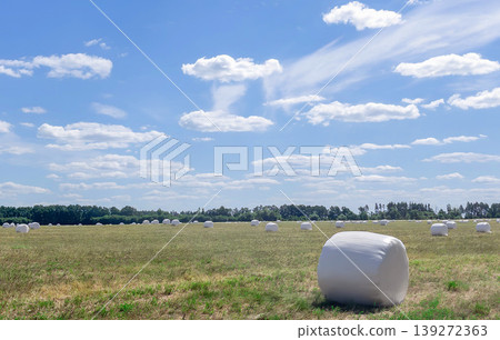 Field hay bales in agriculture farm rural harvest sky meadow landscape scene with wrapped rolls across summer countryside under blue clouds and open horizon. Field hay bales in agriculture farm rural harvest sky meadow landscape scene with wrapped rolls across summer countryside under blue clouds and open horizon. 139272363