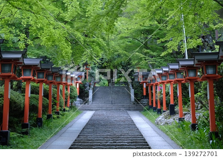 The approach to Kyoto's temples and shrines, adorned with the fresh green leaves of the new maple trees and vermilion lanterns, presents a tranquil and serene Japanese landscape. The approach to Kyoto's temples and shrines, adorned with the fresh green leaves of the new maple trees and vermilion lanterns, presents a tranquil and serene Japanese landscape. 139272701