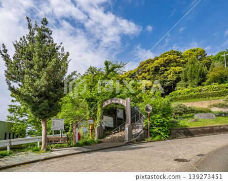 東山公園(市政廳入口)入口處綠樹成蔭,生機盎然。 東山公園(市政廳入口)入口處綠樹成蔭,生機盎然。 139273451