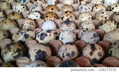Quail Eggs in Tray with Natural Spot Pattern Quail Eggs in Tray with Natural Spot Pattern 139273532