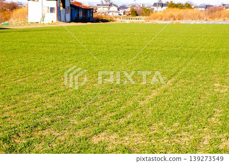 田地、農場、休耕地 139273549