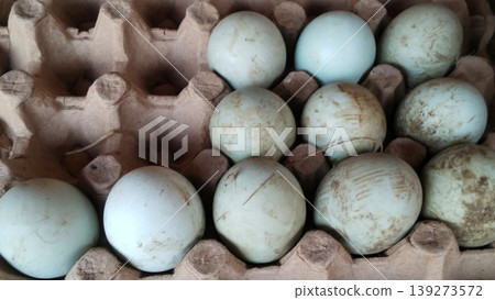 Fresh Duck Eggs in a Carton Tray with Natural Texture Fresh Duck Eggs in a Carton Tray with Natural Texture 139273572