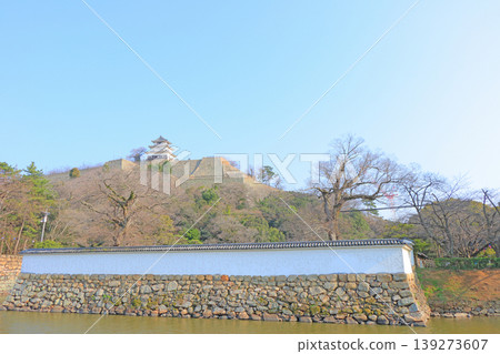 香川縣丸龜市丸龜城風景 香川縣丸龜市丸龜城風景 139273607