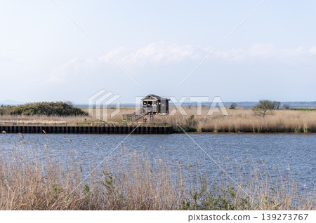 霞浦湖妙義之花觀鳥小屋和蘆葦田的春季景色。 霞浦湖妙義之花觀鳥小屋和蘆葦田的春季景色。 139273767