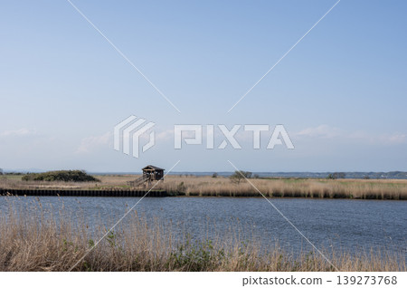 霞浦湖妙義之花觀鳥小屋和蘆葦田的春季景色。 霞浦湖妙義之花觀鳥小屋和蘆葦田的春季景色。 139273768