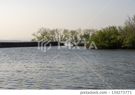 On the shores of Lake Kasumigaura, the fresh green trees are reflected on the water's surface at dusk in spring. On the shores of Lake Kasumigaura, the fresh green trees are reflected on the water's surface at dusk in spring. 139273771