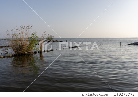 A spring evening scene on the shores of Lake Kasumigaura and wooden stakes A spring evening scene on the shores of Lake Kasumigaura and wooden stakes 139273772