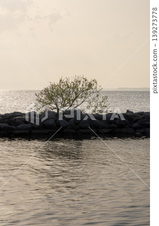 Lake Kasumigaura and a single tree budding on the embankment at dusk in spring. Lake Kasumigaura and a single tree budding on the embankment at dusk in spring. 139273778