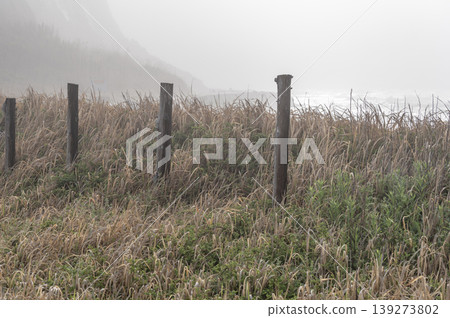 The cliffs of Byobugaura shrouded in mist and the stakes driven into the coastline The cliffs of Byobugaura shrouded in mist and the stakes driven into the coastline 139273802