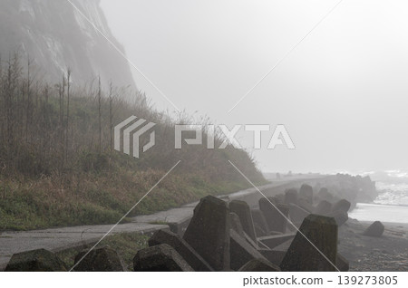 Morning at Byobugaura and Iioka Beach, shimmering waves and shrouded in mist. 139273805
