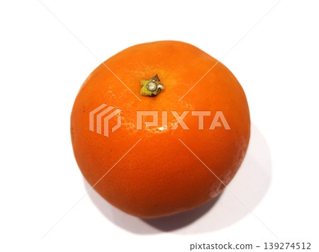 Sweet and juicy citrus Seminole 12 139274512