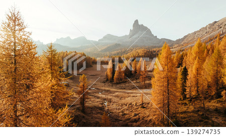 Bunch of trees with orange colored leaves. Croda da Lago mountain at background, majestic landscape at autumn time Bunch of trees with orange colored leaves. Croda da Lago mountain at background, majestic landscape at autumn time 139274735