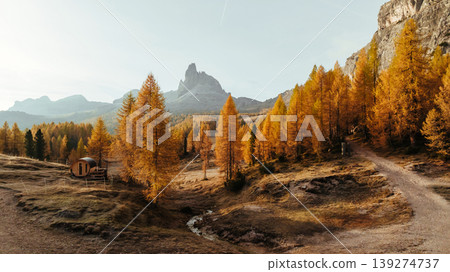 Bunch of trees with orange colored leaves. Croda da Lago mountain at background, majestic landscape at autumn time Bunch of trees with orange colored leaves. Croda da Lago mountain at background, majestic landscape at autumn time 139274737