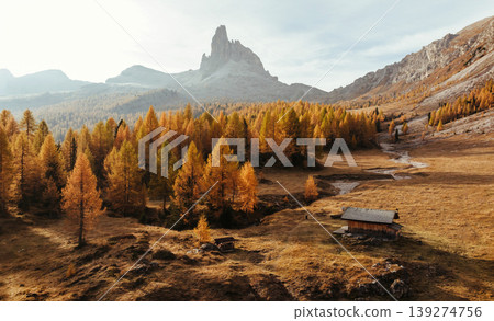 Croda da Lago mountain at background, majestic landscape at autumn time Croda da Lago mountain at background, majestic landscape at autumn time 139274756