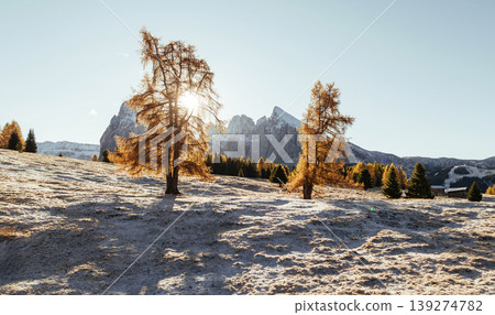 Surface is covered with white snow. Alpe di Siusi, Seiser Alm, aerial view of majestic dolomites, mountains background Surface is covered with white snow. Alpe di Siusi, Seiser Alm, aerial view of majestic dolomites, mountains background 139274782