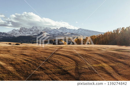 Field with wooden houses. Alpe di Siusi, Seiser Alm, aerial view of majestic dolomites, mountains background Field with wooden houses. Alpe di Siusi, Seiser Alm, aerial view of majestic dolomites, mountains background 139274842