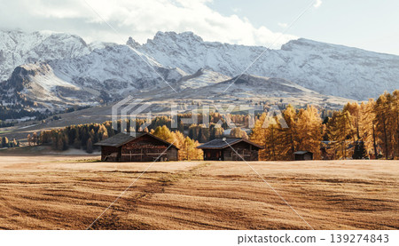 Field with wooden houses. Alpe di Siusi, Seiser Alm, aerial view of majestic dolomites, mountains background Field with wooden houses. Alpe di Siusi, Seiser Alm, aerial view of majestic dolomites, mountains background 139274843