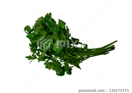 Fresh Parsley Bouquet on White Fresh Parsley Bouquet on White 139275573